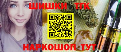 индика Ирбит