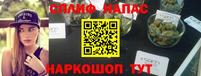 индика Ирбит