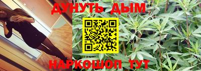 индика Ирбит