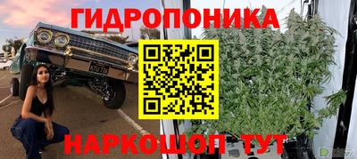гидра Изобильный
