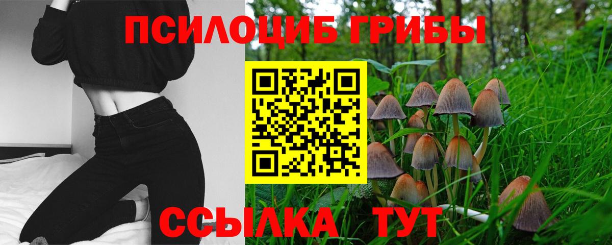 Майский  Псилоцибиновые грибы Magic Shrooms  Вход с VPN 